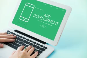 custom web application development services